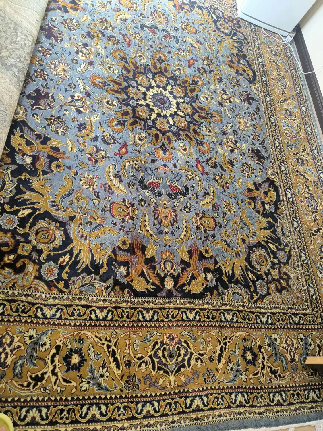 قالی ۱۲ متری|فرش|تنکابن, |دیوار