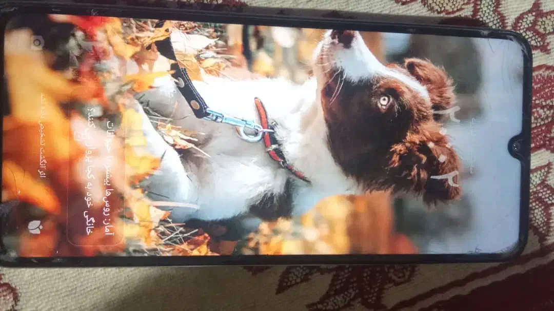 گوشی ردمی a5|موبایل|سراوان, |دیوار