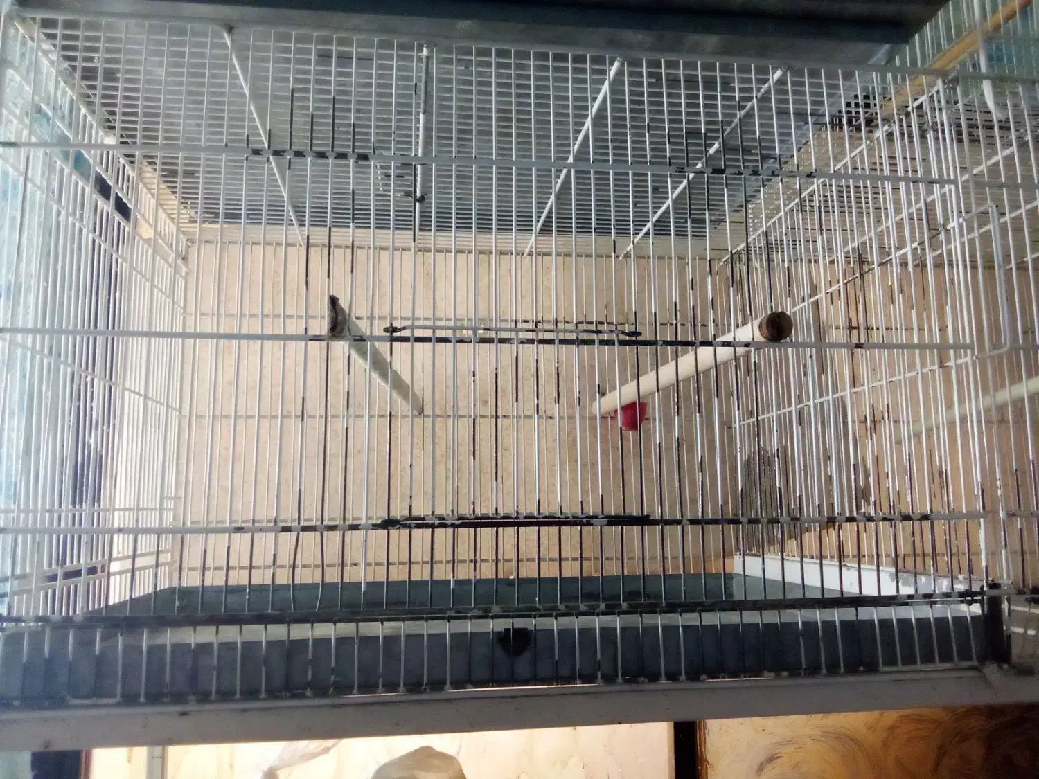 قفس پرون ۱۲۸ سانتی|لوازم جانبی حیوانات|مشهد, امیریه|دیوار