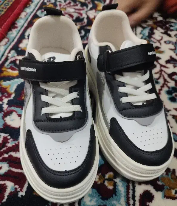 دو جفت کتونی (نو)|کیف، کفش، کمربند|الشتر, |دیوار