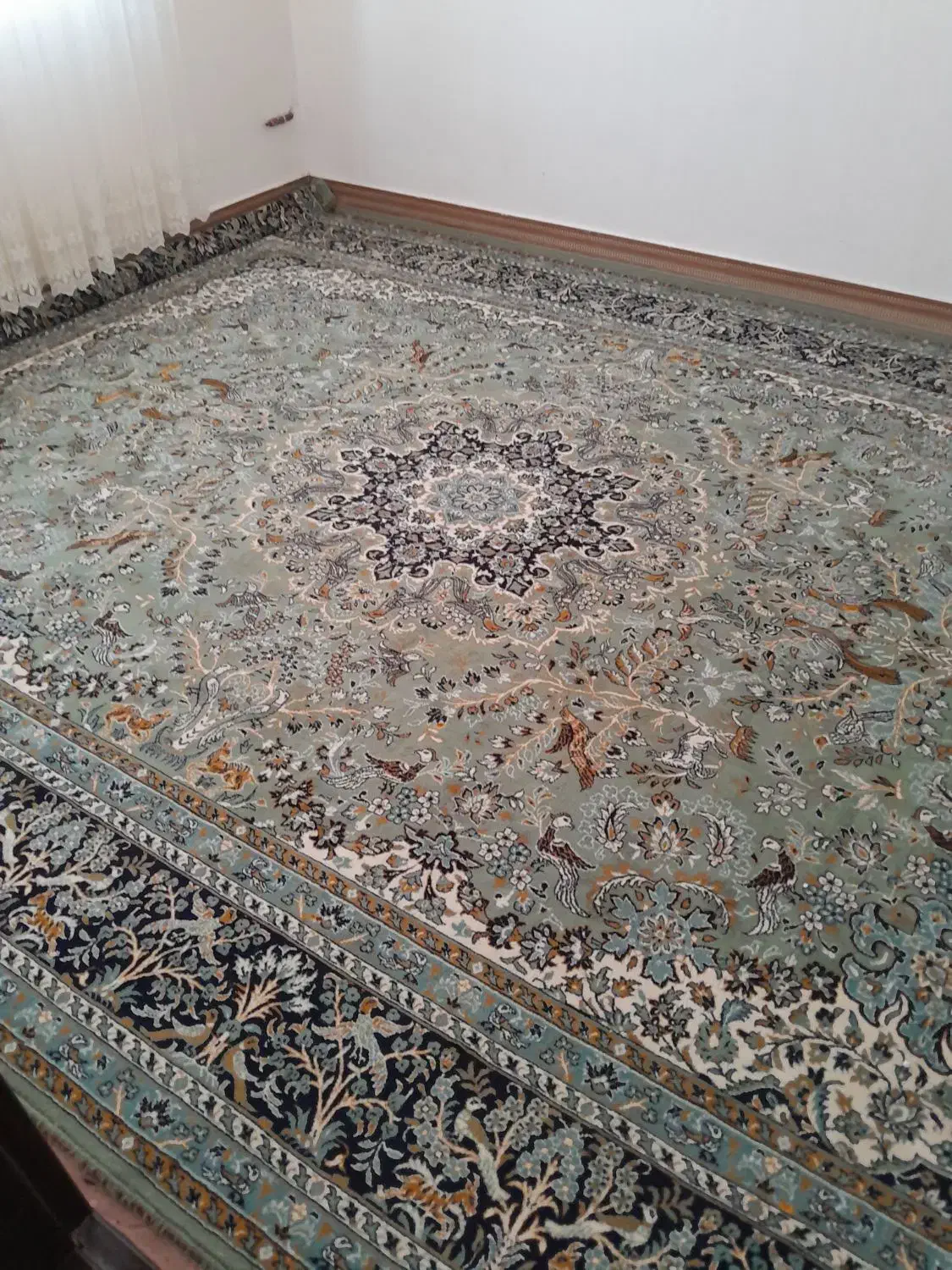 فرش ۱۲متری|فرش|مشگین شهر, |دیوار