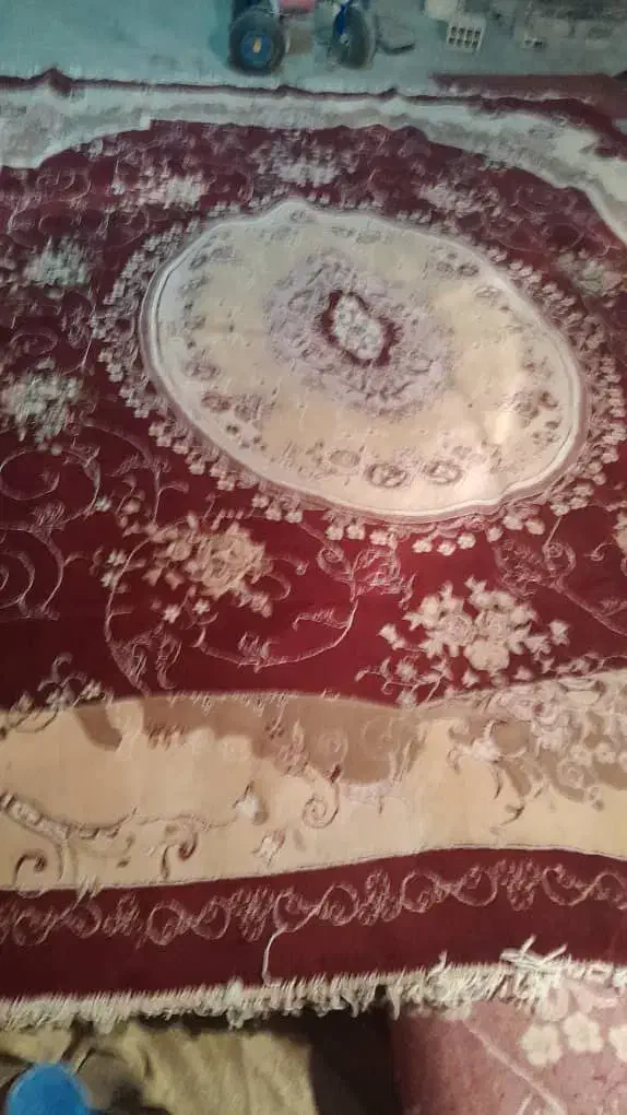 فروش دو عدد فرش دوازده متری ۵۰۰شانه نگین مشهد|فرش|اسدآباد, |دیوار