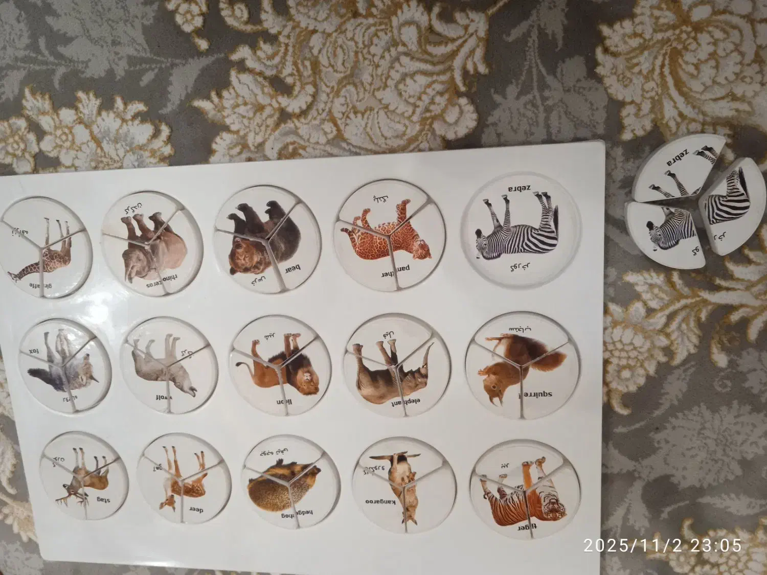 بازی فکری|اسباببازی|مشهد, چهارچشمه|دیوار