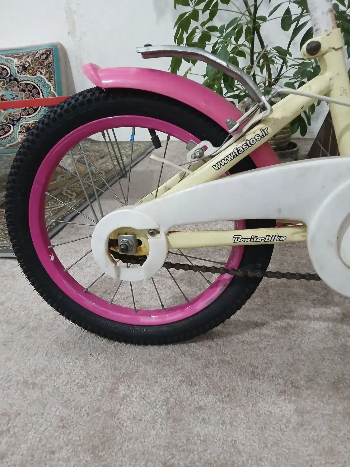 دوچرخه ۱۶|دوچرخه، اسکیت، اسکوتر|بوشهر, |دیوار