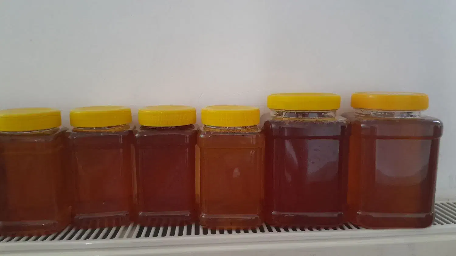 عسل طبیعی وارگانیک|خوردنی و آشامیدنی|شاهین‌شهر, گرگاب|دیوار