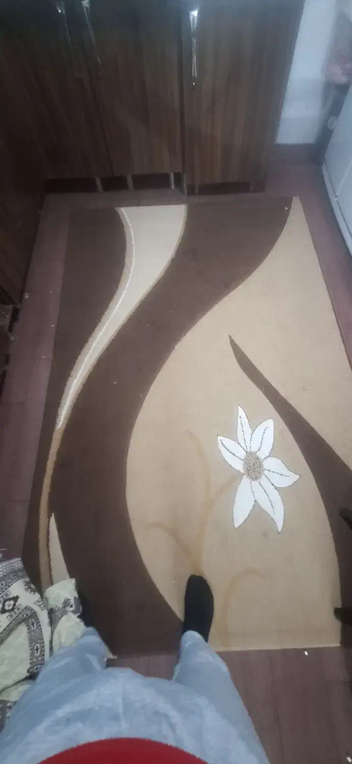 موکت فرشی|موکت|تهران, مولوی|دیوار