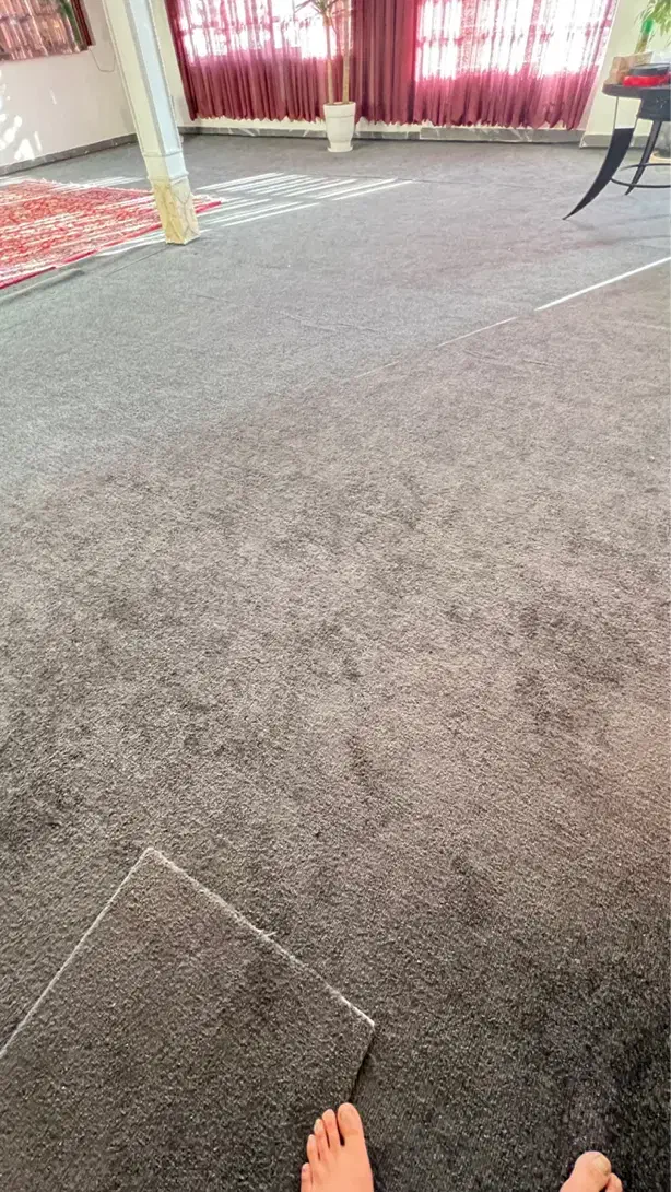 موکت پالاز|موکت|بروجرد, |دیوار