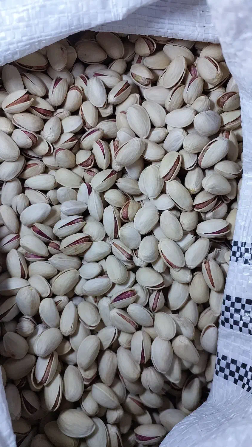 پسته احمد اقایی درجه یک|خوردنی و آشامیدنی|مرودشت, گندم‎|دیوار