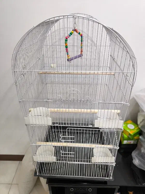 قفس بزرگ طوطی و عروس و ...|لوازم جانبی حیوانات|کرج, باغستان|دیوار