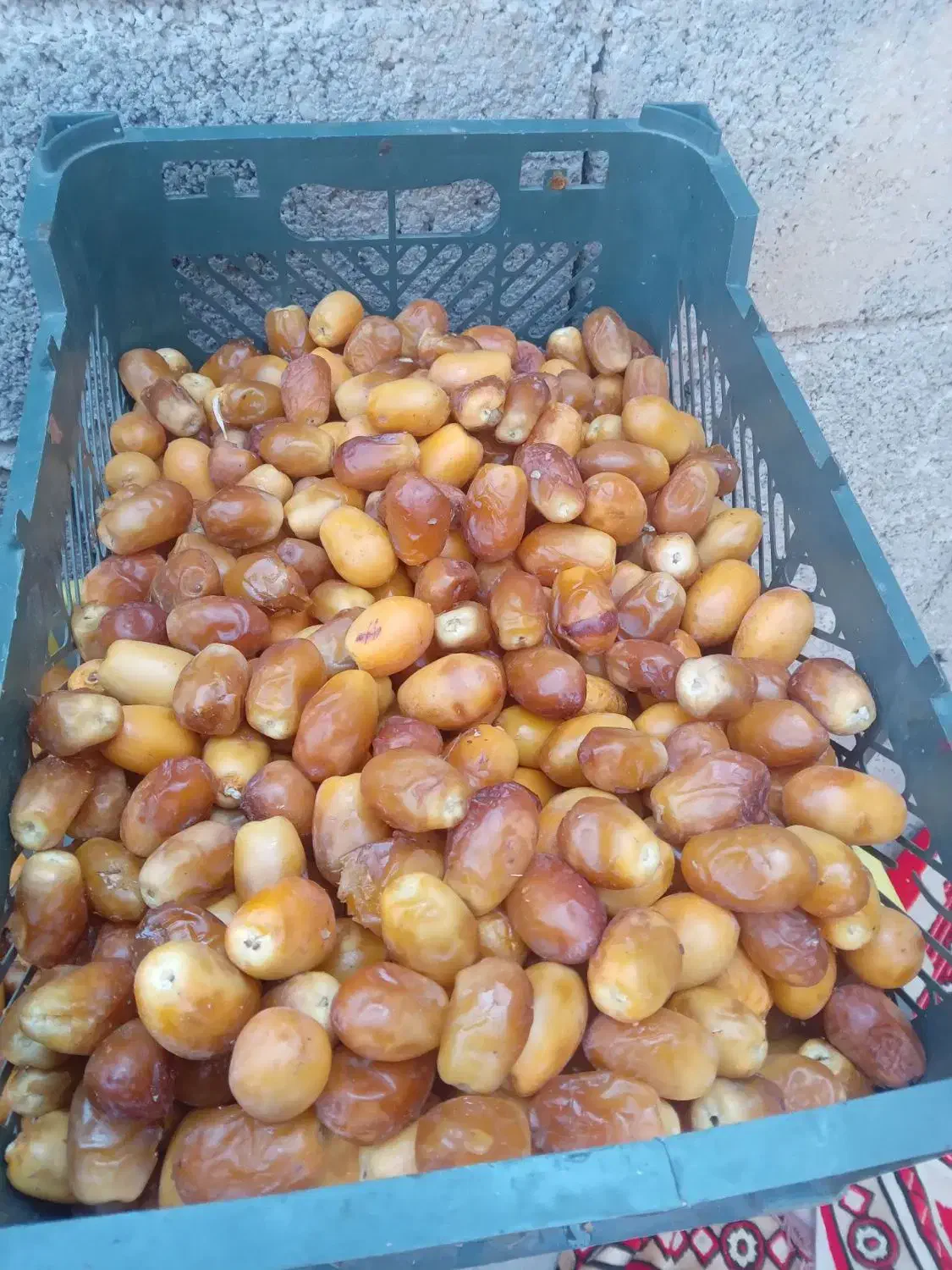 رطب خوش رنگ|خوردنی و آشامیدنی|میناب, |دیوار