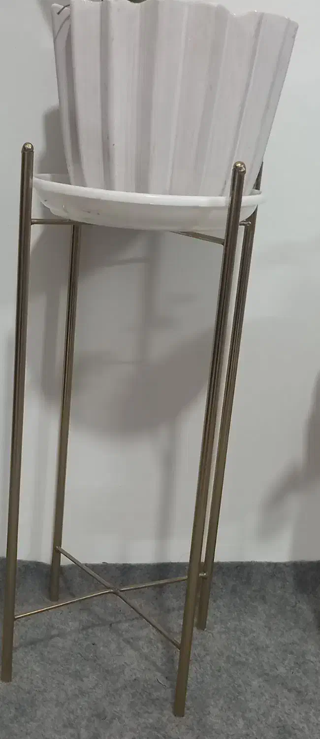 پایه گل|گل و گیاه طبیعی|بهارستان, |دیوار