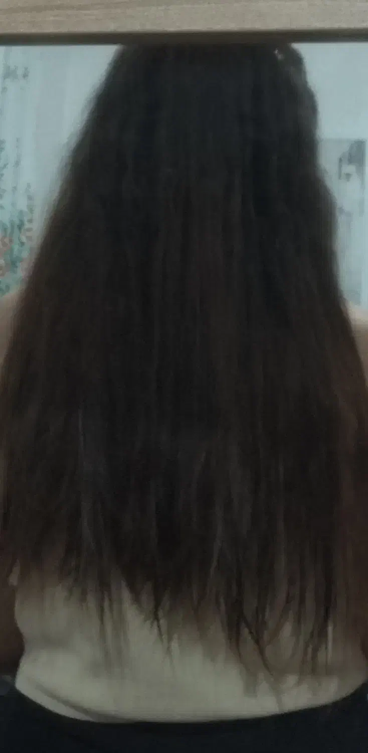 فروش مو|آرایشی، بهداشتی، درمانی|شیراز, کوشک میدان|دیوار