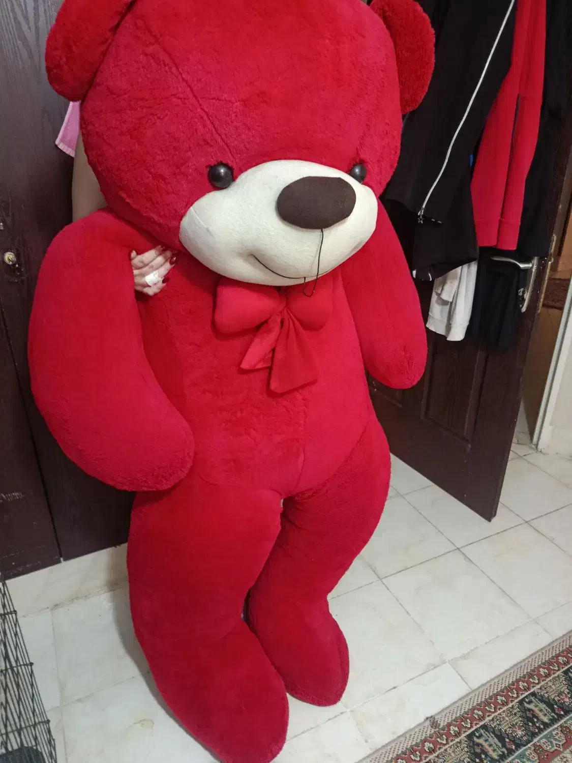 خرس ولنتاینی|اسباببازی|صدرا-فارس, فاز ۱|دیوار