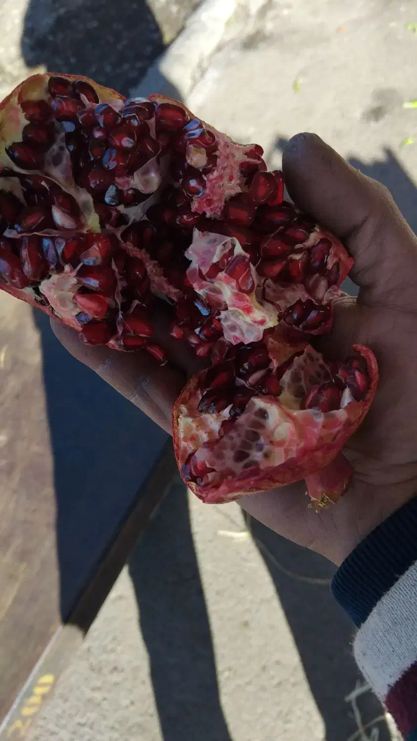 اناردرجه یک.|خوردنی و آشامیدنی|گلپایگان, |دیوار