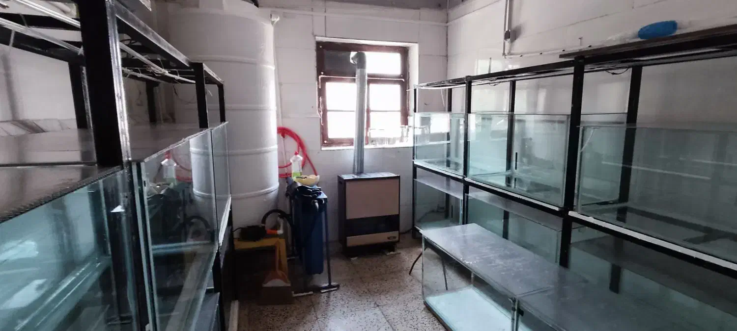 آکواریوم به همراه پایه و پمپ هوای مرکزی|ماهی|محمدیه-قزوین, |دیوار