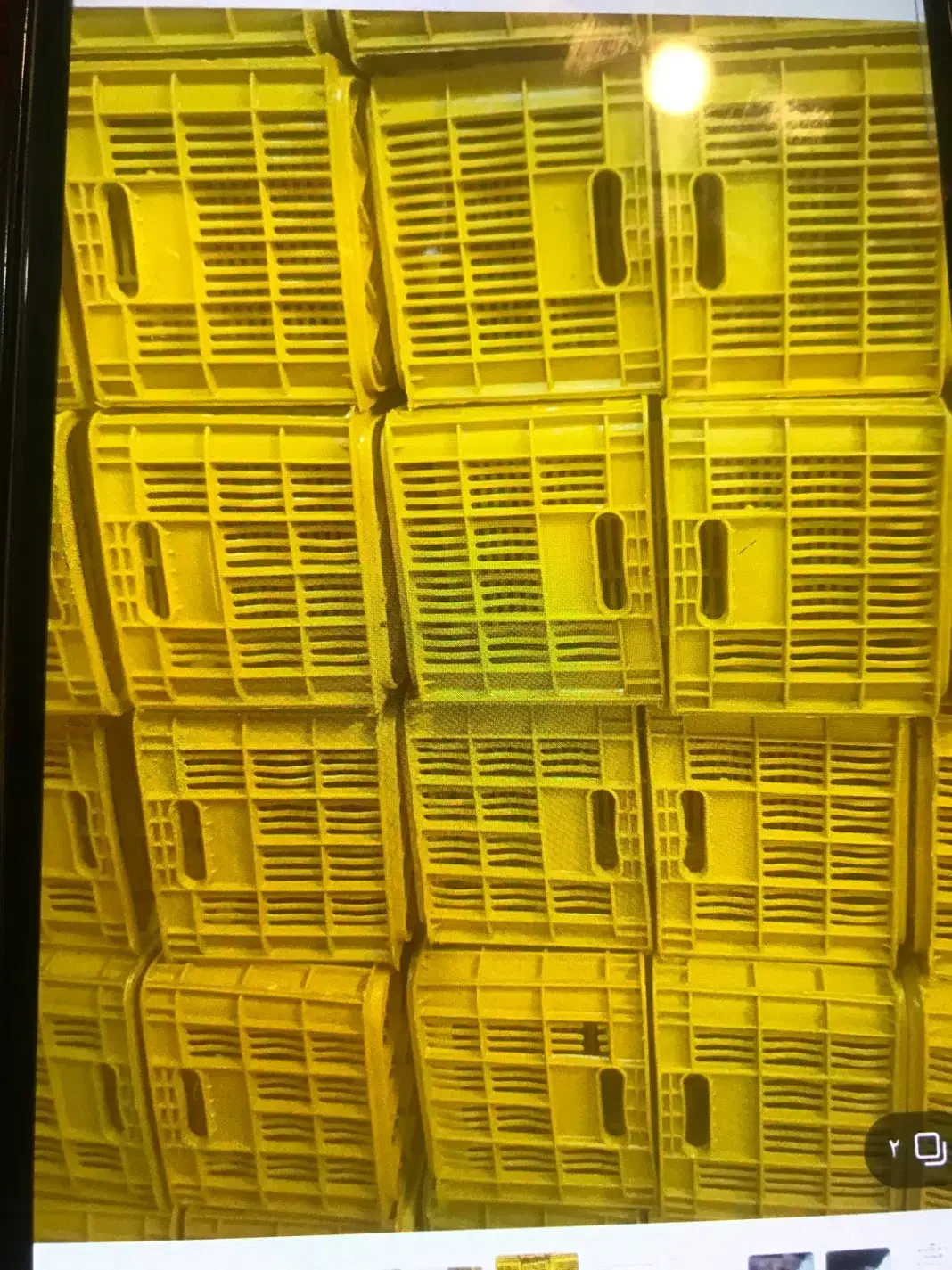 جعبه ۲۰کیلویی تازه|ظروف نگهدارنده، پلاستیکی، یک‌بارمصرف|ارومیه, |دیوار