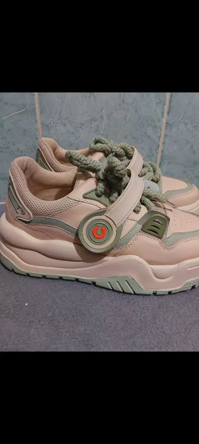 کفش|کیف، کفش، کمربند|چناران, |دیوار