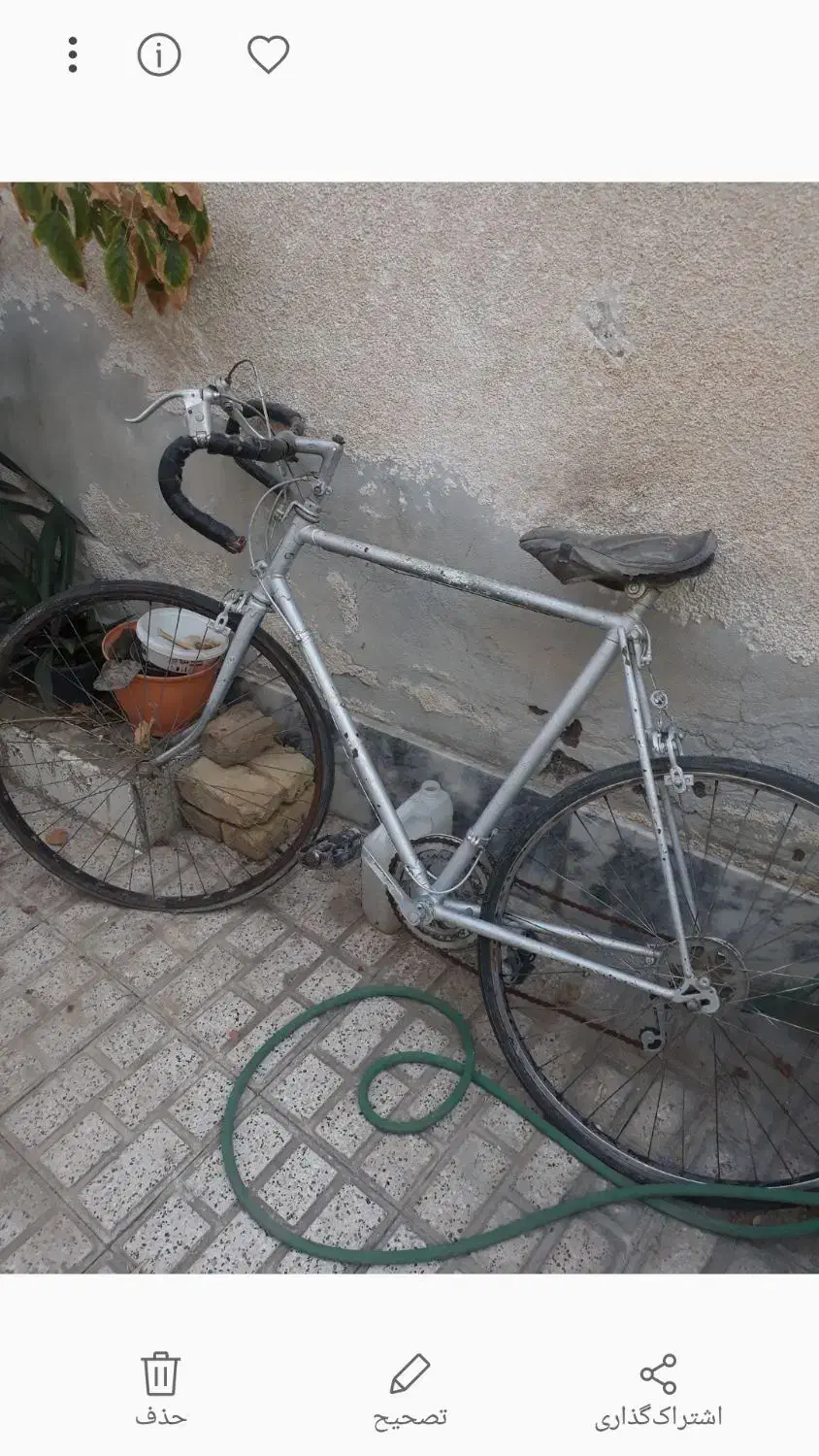 دوچرخه کرسی|دوچرخه، اسکیت، اسکوتر|مشهد, پنجتن|دیوار