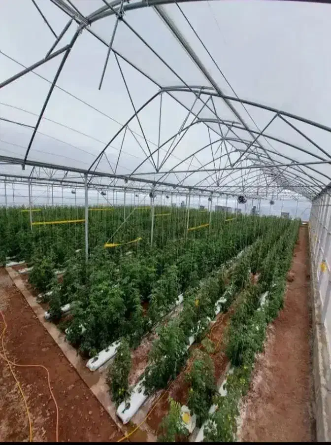 ساخت گلخانه|خدمات پیشه و مهارت|ارومیه, |دیوار