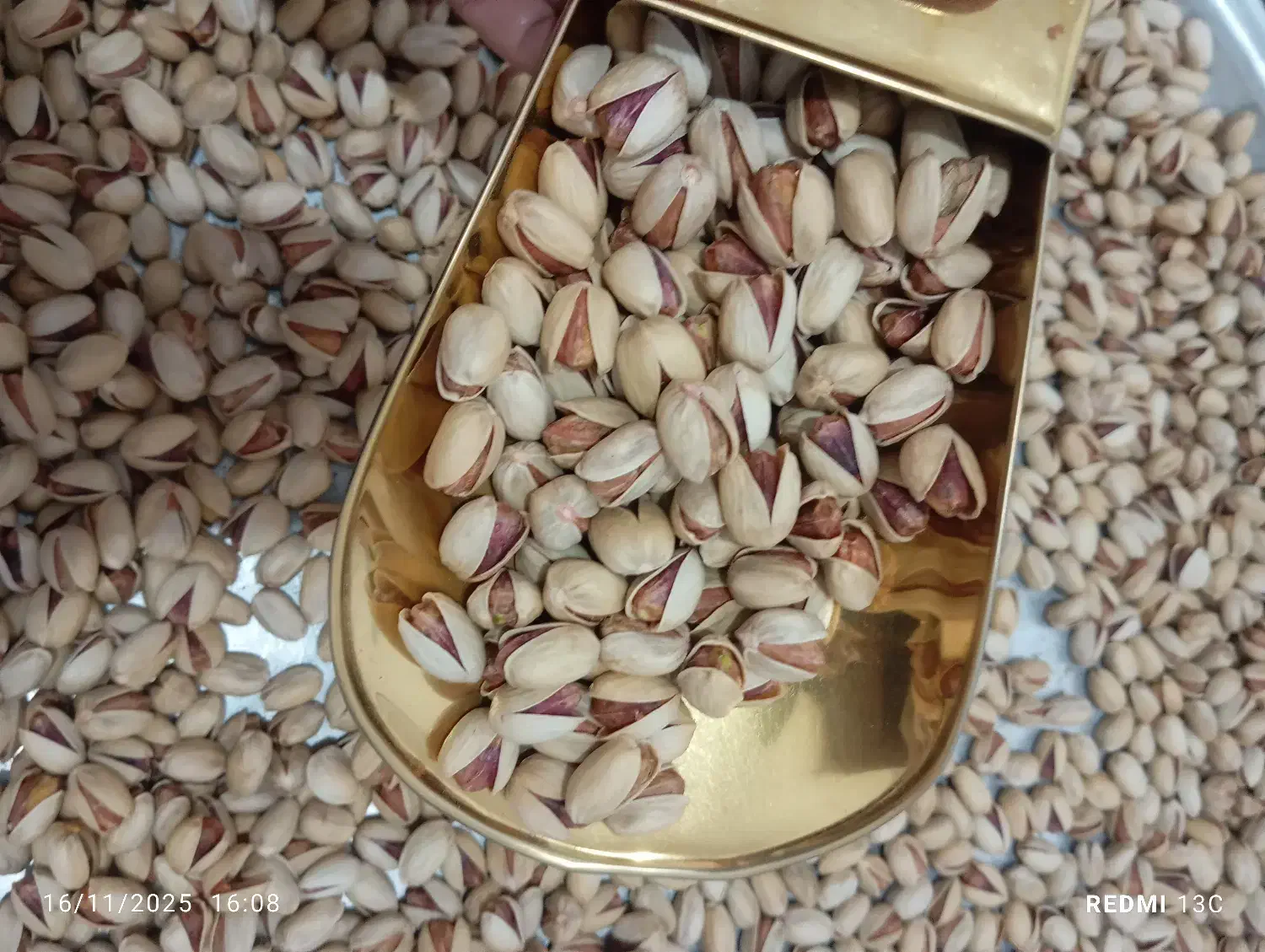 پسته فندقی|خوردنی و آشامیدنی|نی‌ریز, |دیوار