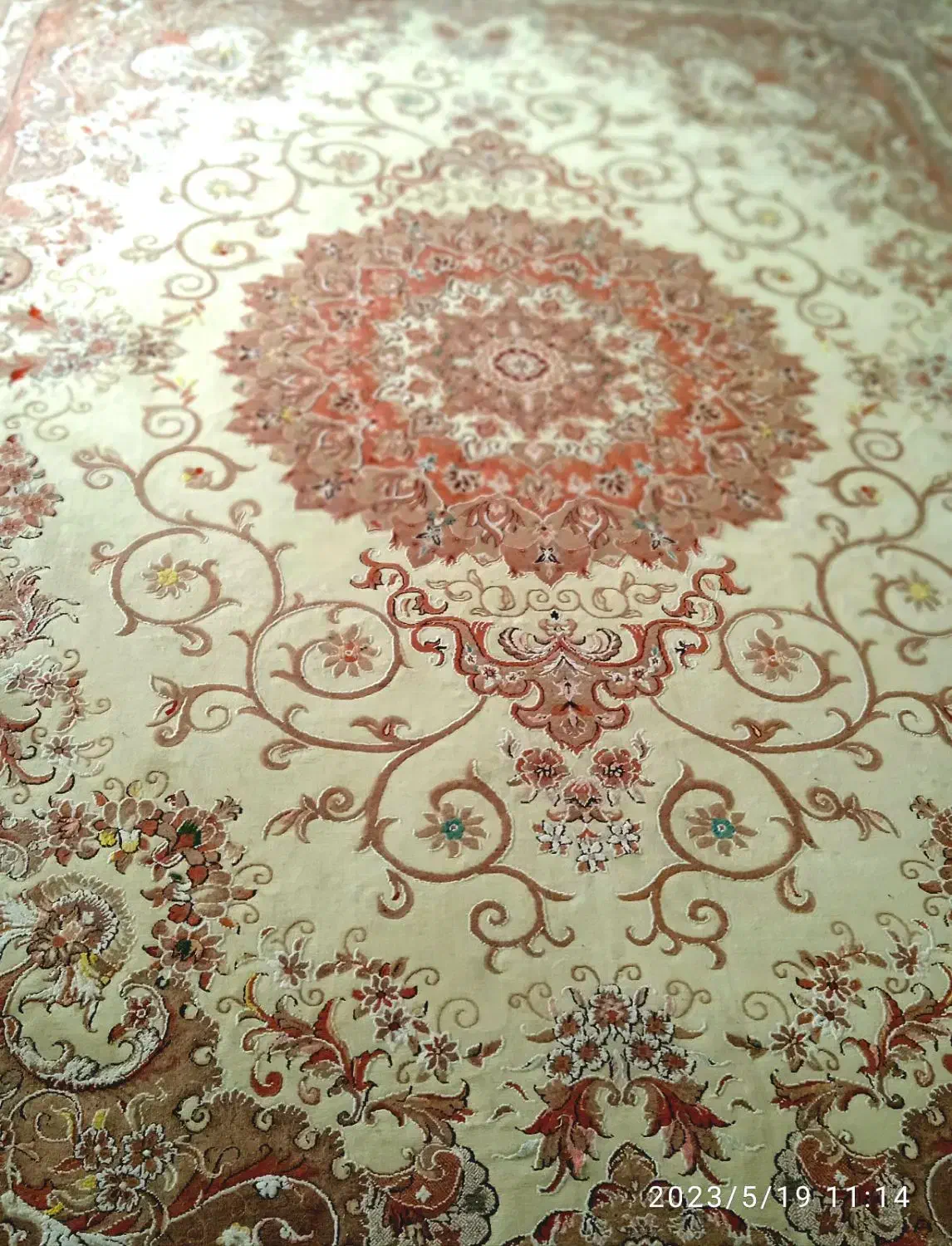 فرش ۱۲ متری|فرش|لاهیجان, بازکیاگوراب|دیوار