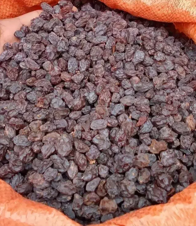 نماینده کشمش ومویز شیراز|خوردنی و آشامیدنی|تهران, مرزداران|دیوار
