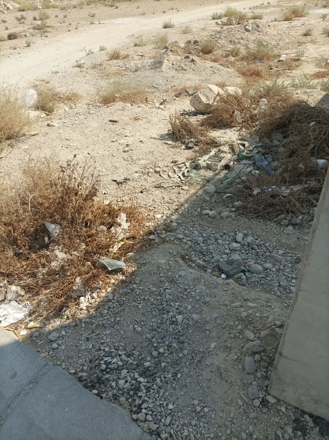 فروش زمین مسکونی باغک جنوبی|فروش زمین و ملک کلنگی|اهرم, |دیوار