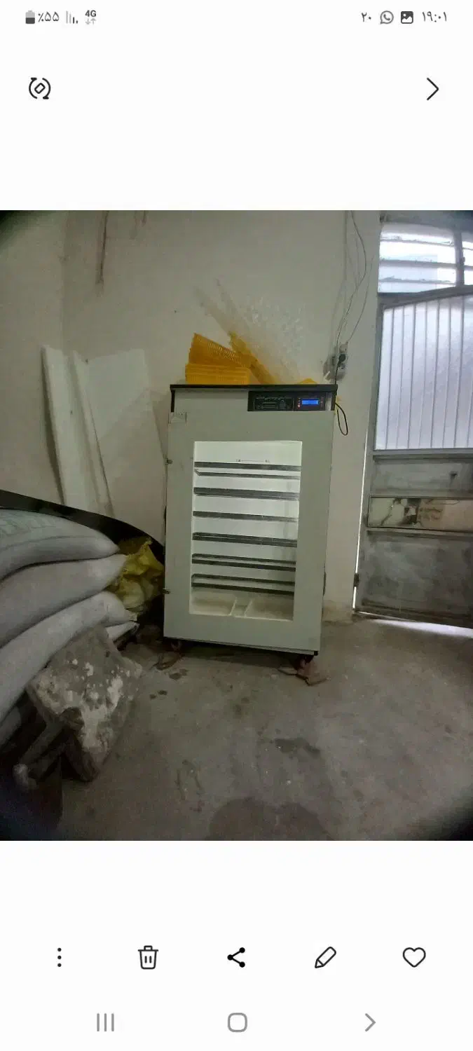 دستگاه جوجه کشی|لوازم جانبی حیوانات|مشگین شهر, |دیوار