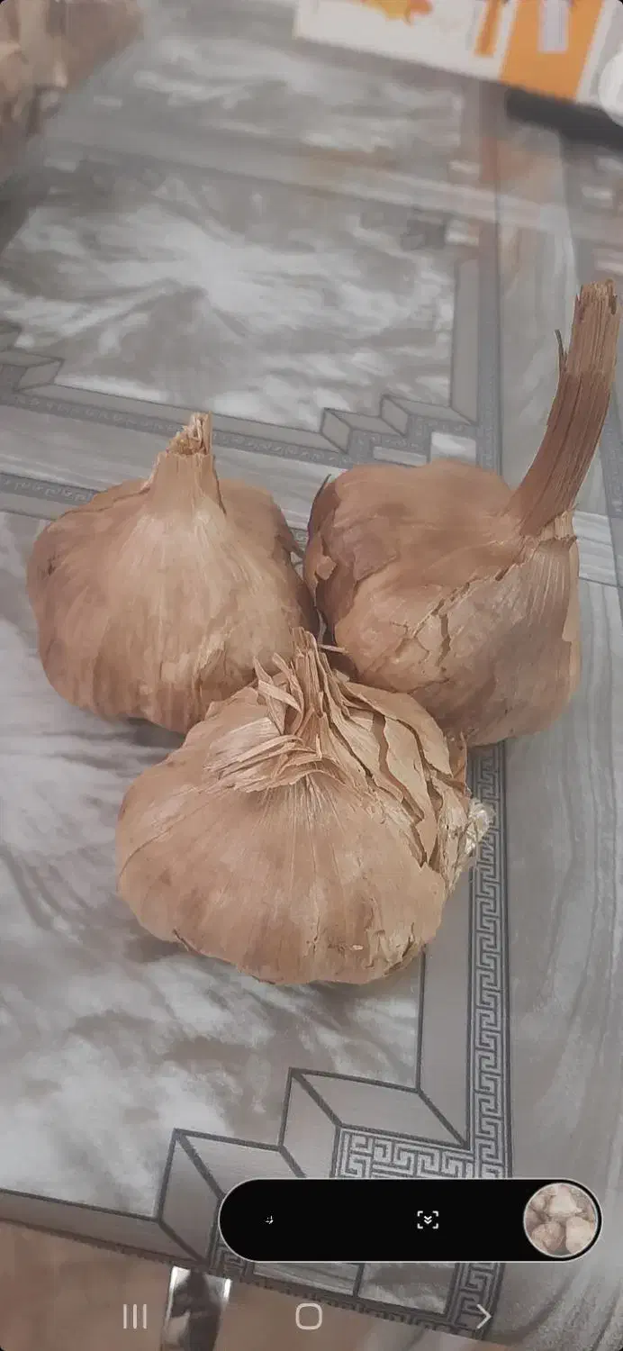 سیر سیاه|خوردنی و آشامیدنی|اصفهان, پروین|دیوار