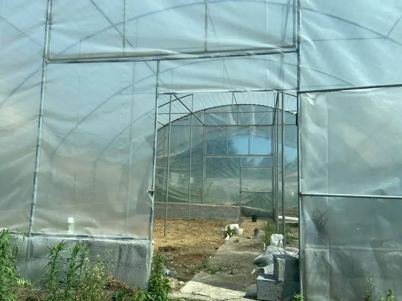 سازه گلخونه ۱۰۰ متری ۱۰×۱۰ لوله گالوانیزه نو|مصالح و تجهیزات ساختمان|تنکابن, |دیوار