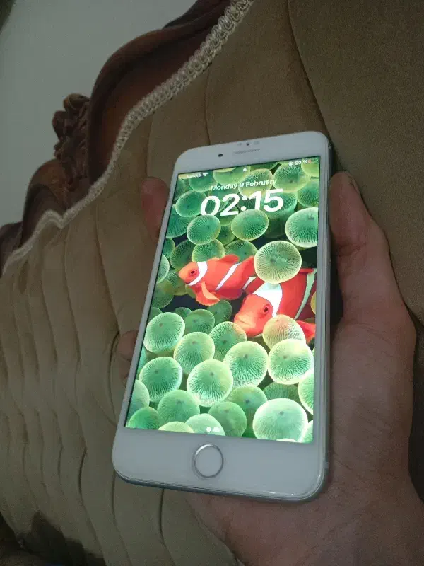 ایفون۸پلاس|موبایل|تهران, آذری|دیوار