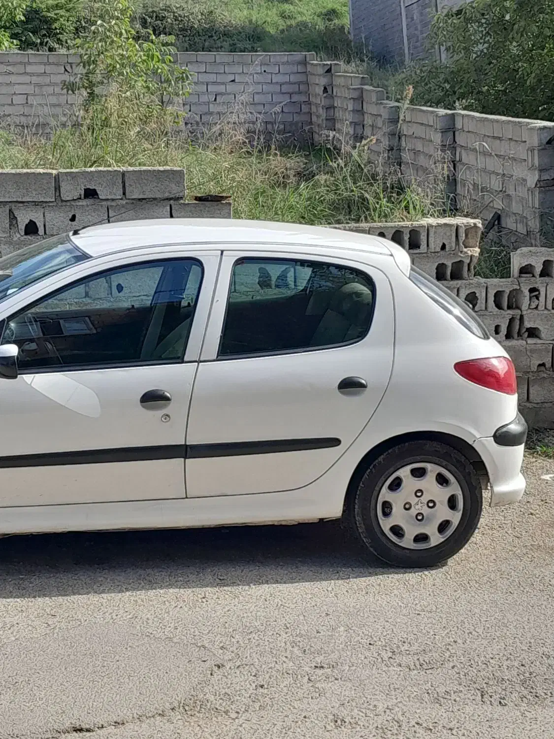 ۲۰۶ دورنگ تیپ۲ آس|خودرو سواری و وانت|نکا, |دیوار