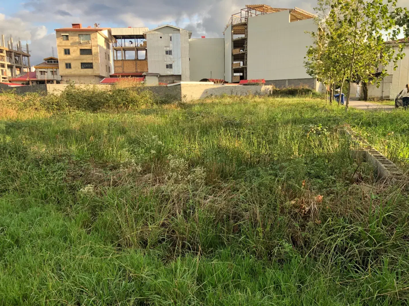 فروش زمین مسکونی|فروش زمین و ملک کلنگی|شفت, |دیوار