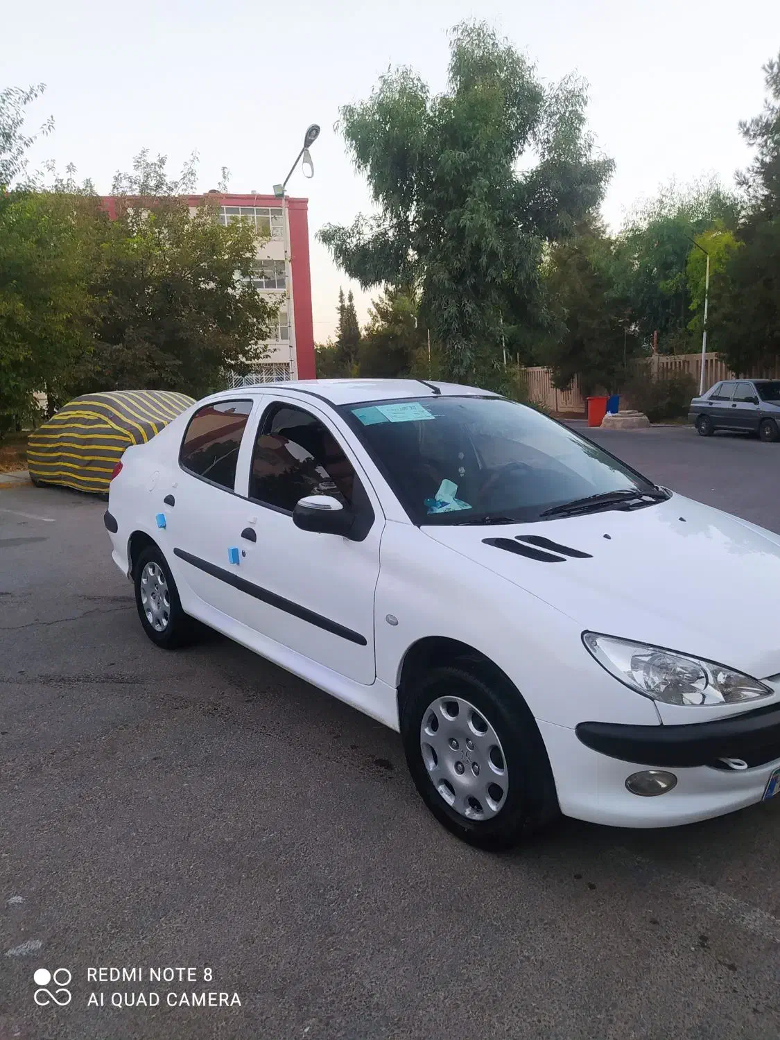 پژو 206 SDمدل99 وی هشت تمام فابریک گاز سیمی|خودرو سواری و وانت|شیراز, پودنک|دیوار