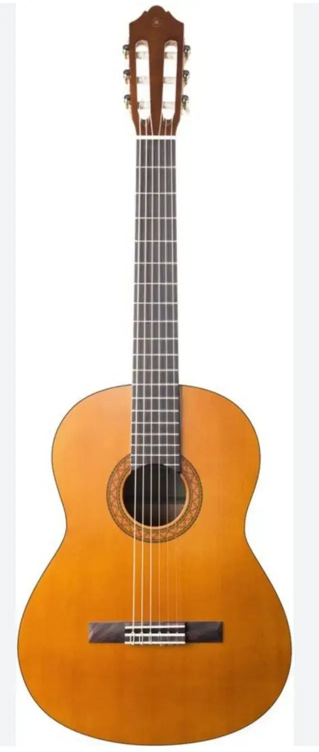 دیاموند گیتا|گیتار، بیس، امپلیفایر|ساوه, |دیوار