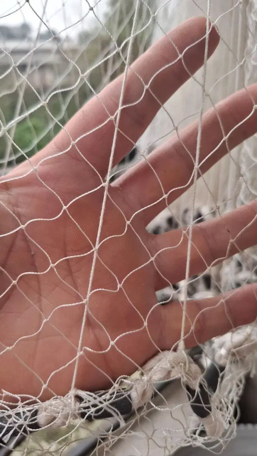 ماشک ماهیگیری|ماهیگیری|رشت, لاکان شهر|دیوار