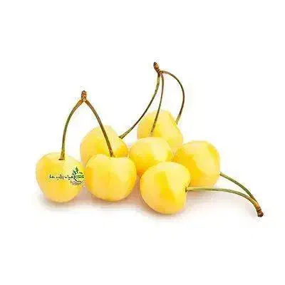 پیشفروش نهال نهال گیلاس زرد اورمیه|خدمات باغبانی و درختکاری|خسروشاه, |دیوار