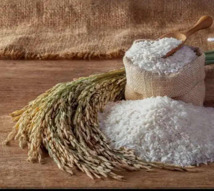 برنج نیم دانه|خوردنی و آشامیدنی|کلاچای, |دیوار