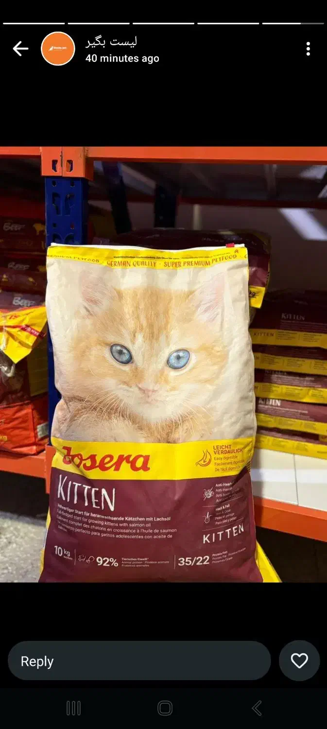 انواع جوسرا ۱۰ کیلو زیر قیمت|لوازم جانبی حیوانات|رشت, گلسار|دیوار