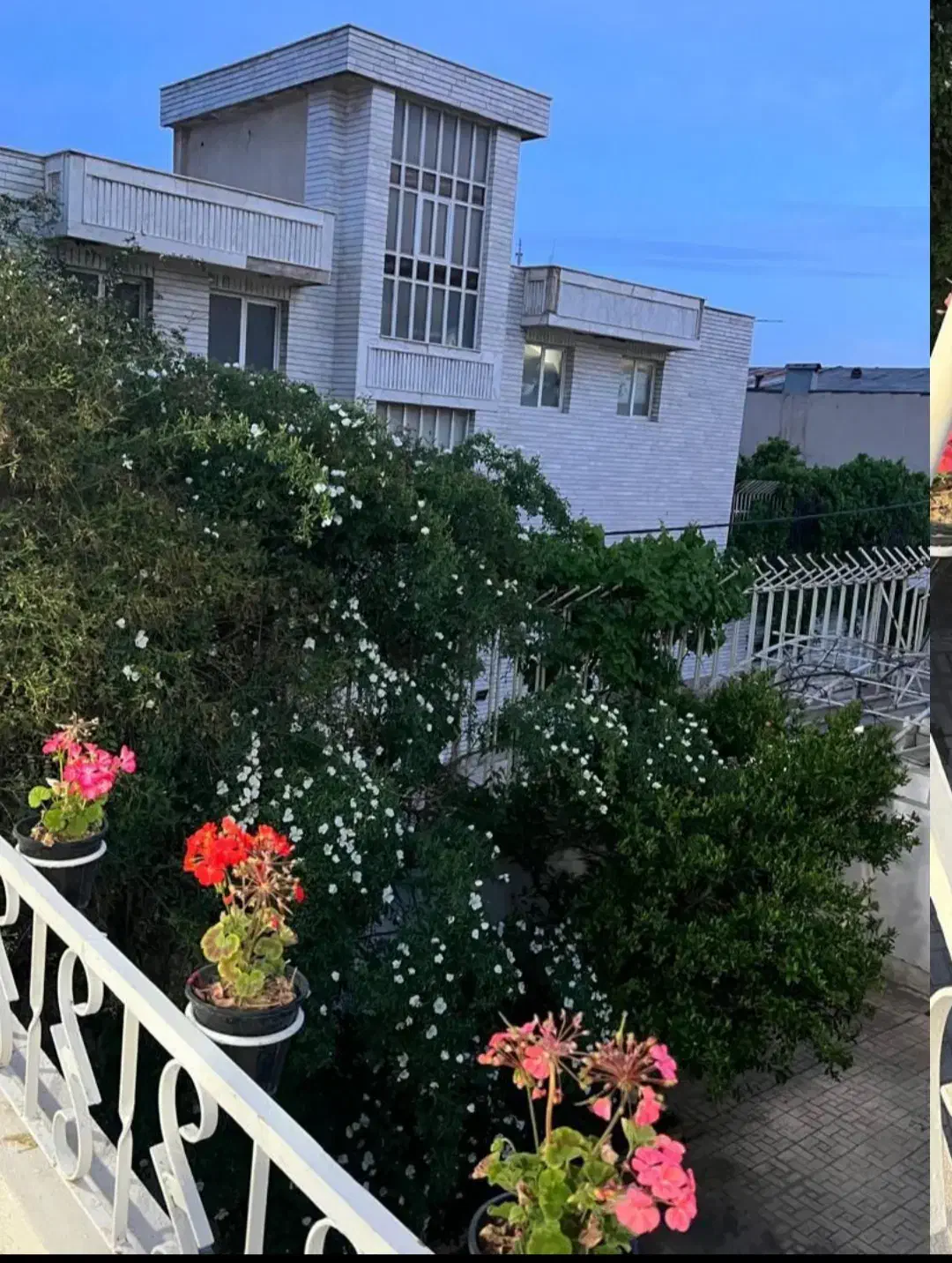 خوابگاه دخترانه|اجارهٔ کوتاهمدت آپارتمان و سوئیت|شیراز, وصال|دیوار