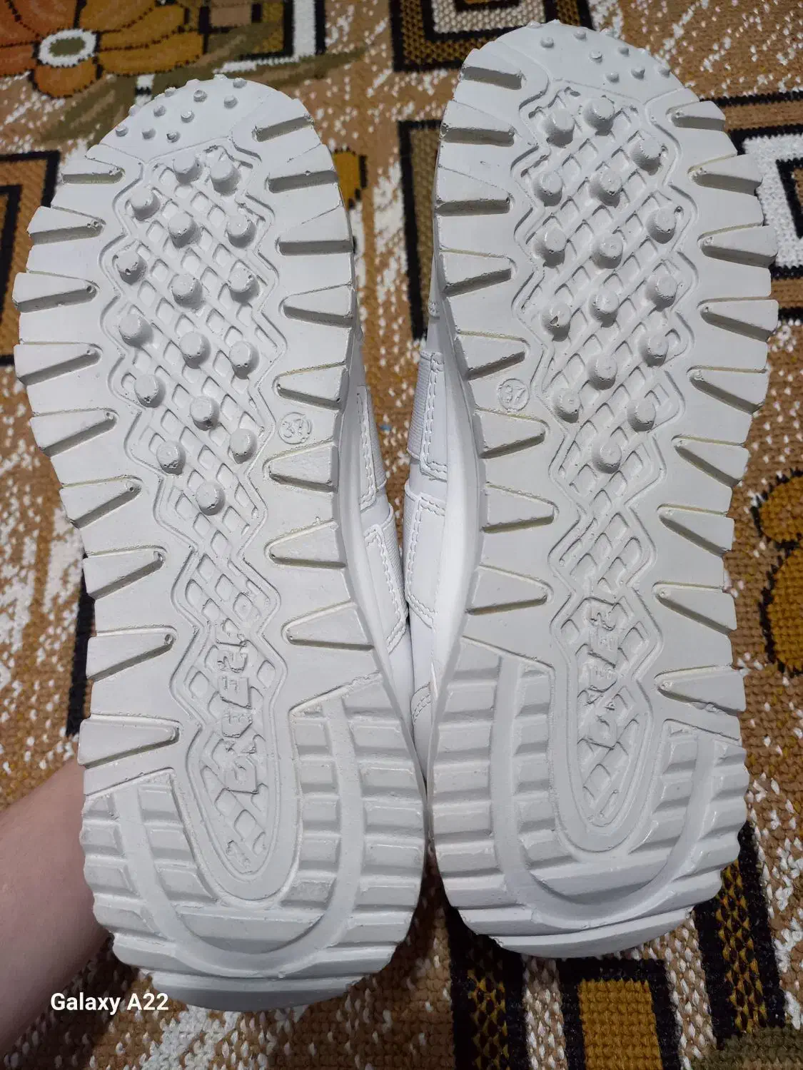 کتونی|کیف، کفش، کمربند|خشکبیجار, |دیوار