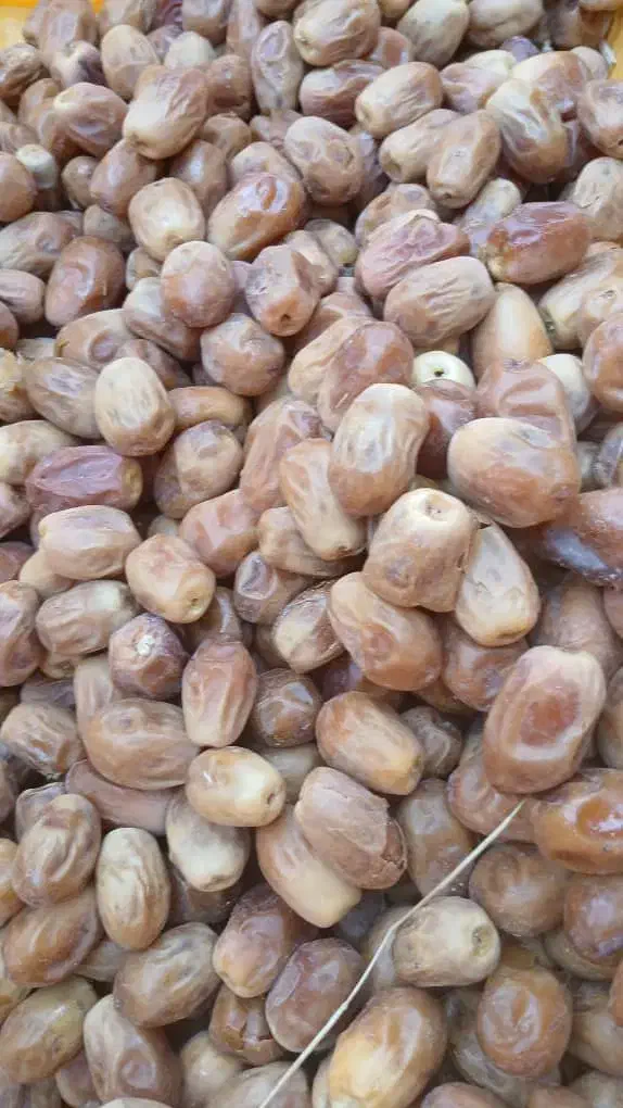 مقدار سه تن قصب درجه یک|عمده‌فروشی|ارم, |دیوار