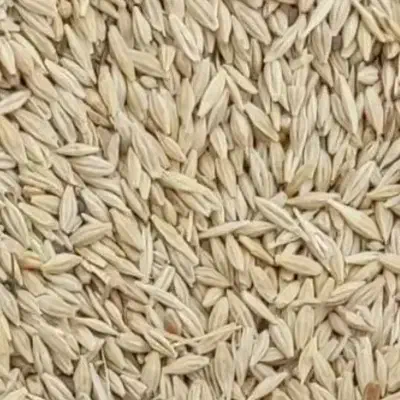 جو گوهران|لوازم جانبی حیوانات|قم, دورشهر|دیوار