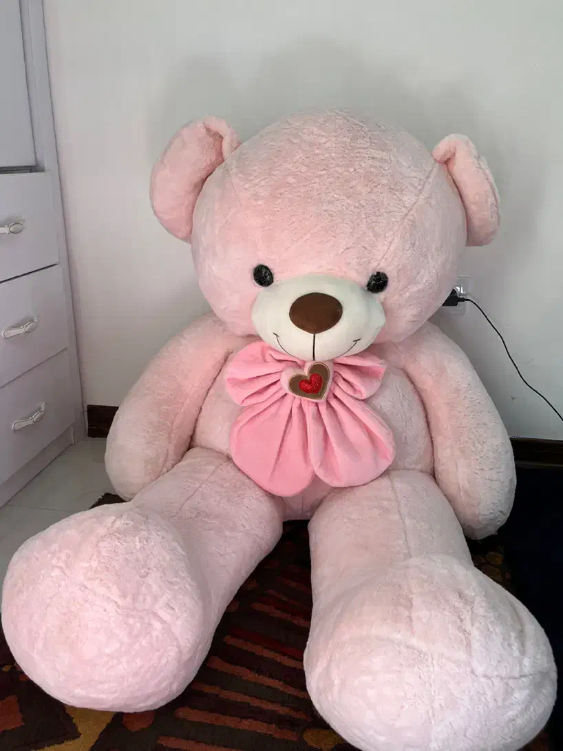 عروسک بزرگ 1/5 متری|اسباب‌‌بازی|ساری, |دیوار