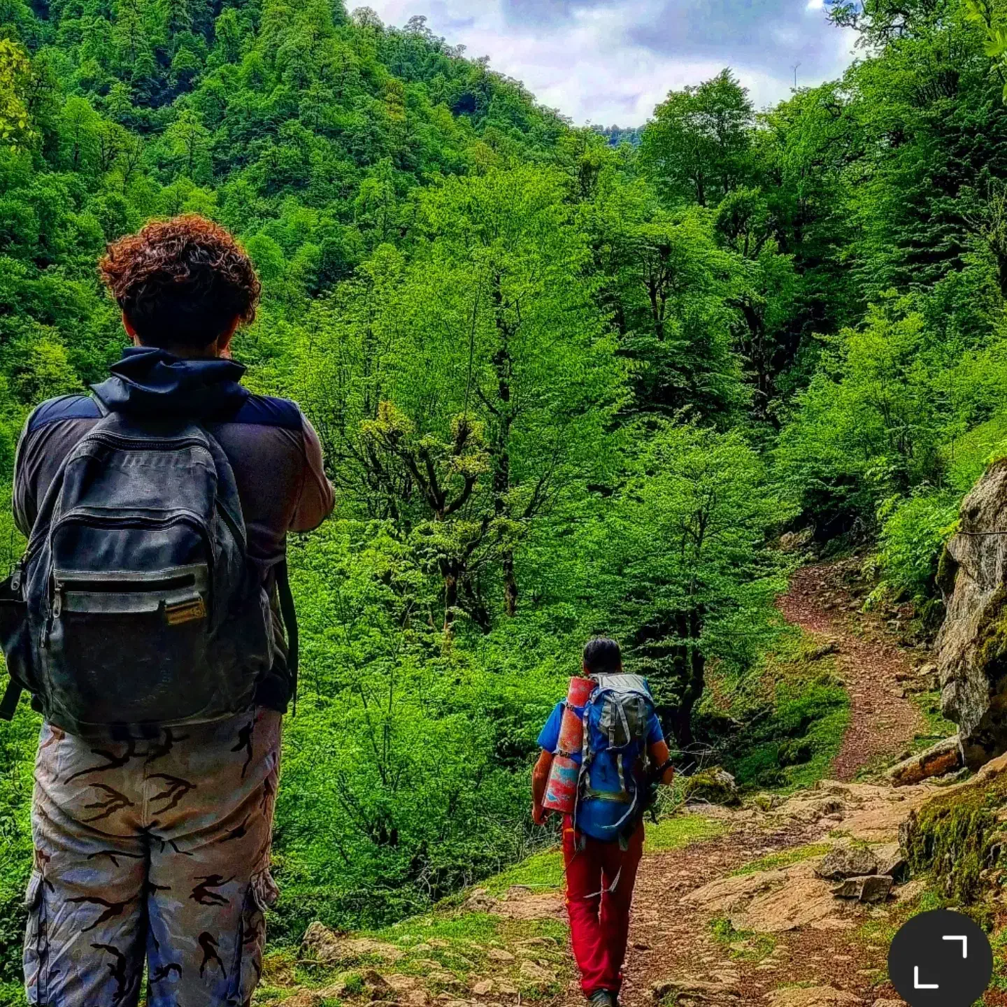 همسفر برای طبیعت|فعالیت داوطلبانه|رشت, چله خانه|دیوار