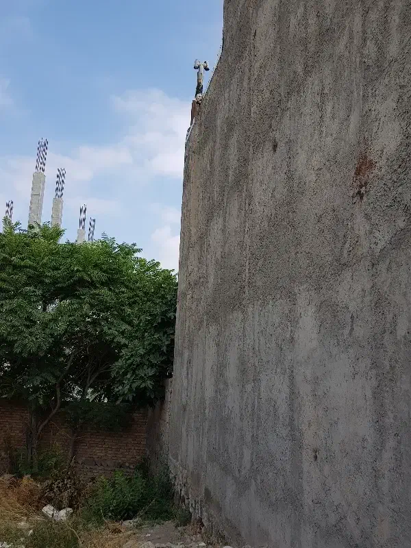 زمین در شریعتی داخل شهر با همسایگانی اصیل|فروش زمین و ملک کلنگی|مشگین شهر, |دیوار