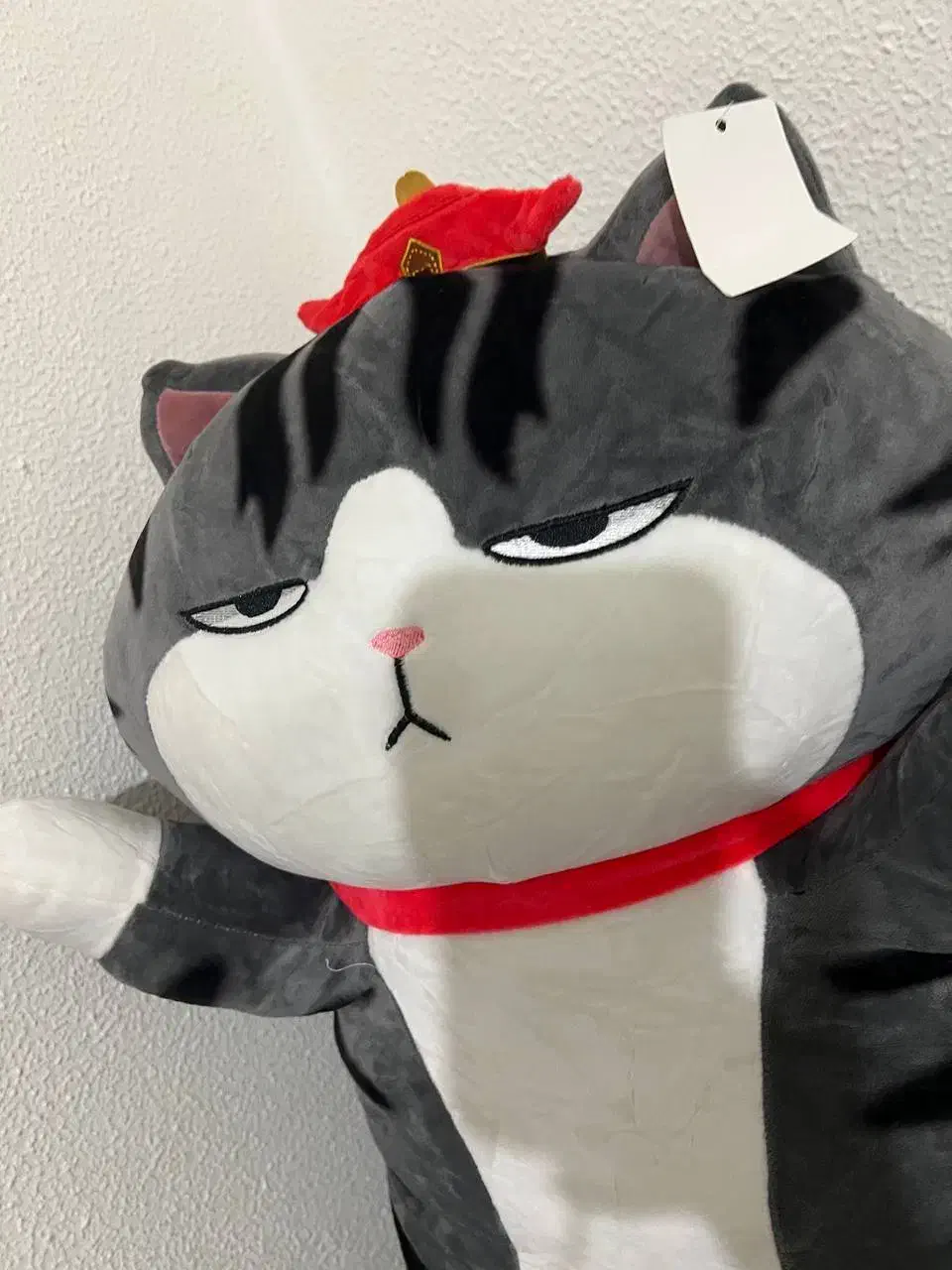 عروسک|اسباببازی|کیش, |دیوار