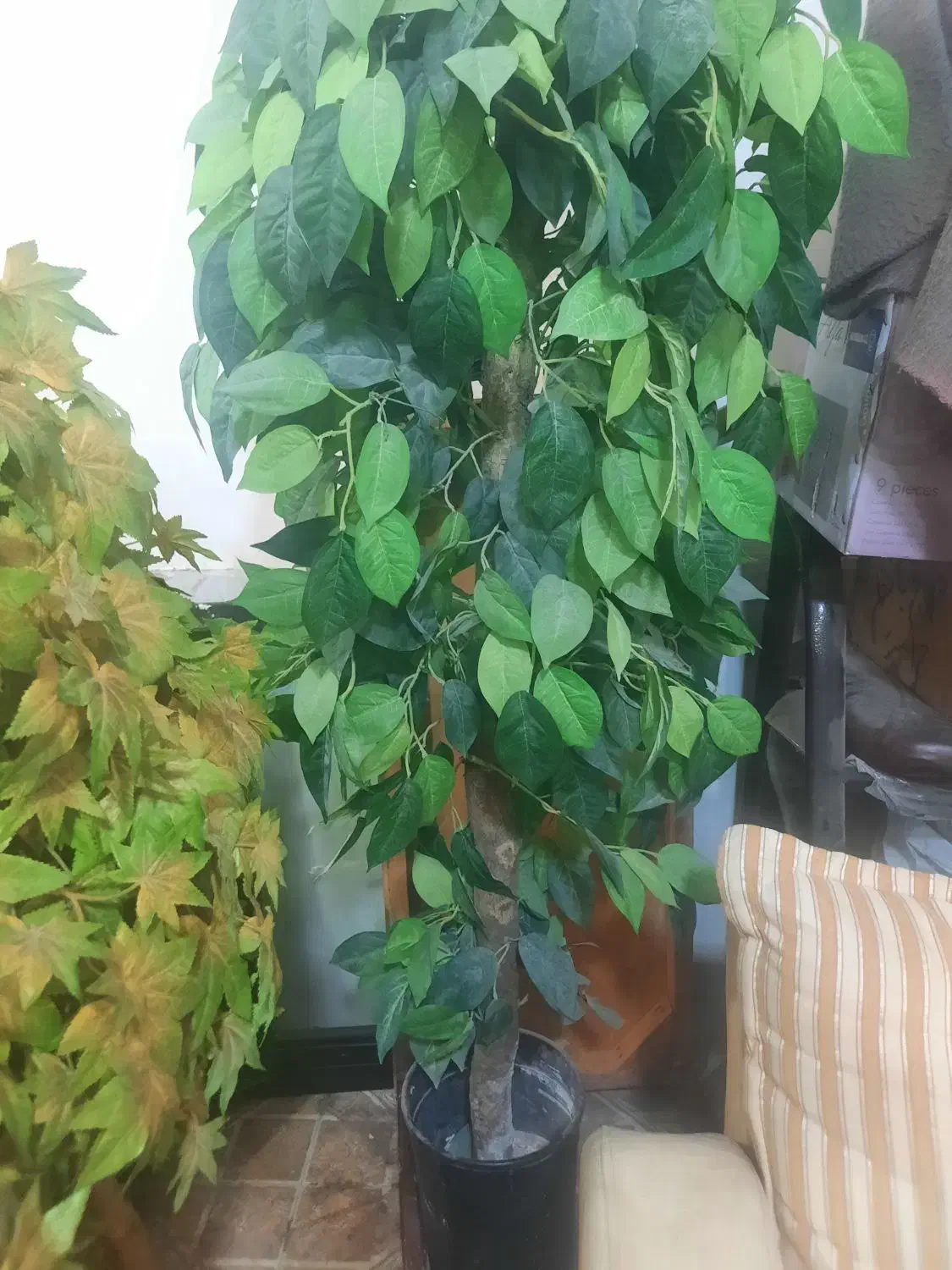 درختچه|گل مصنوعی|بندر ماهشهر, |دیوار