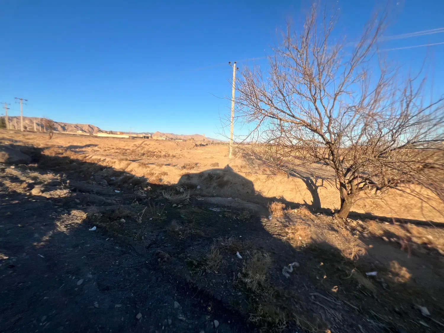 زمین حاشیه خیابان امام رضا|فروش زمین و ملک کلنگی|تربت‌حیدریه, منظر|دیوار