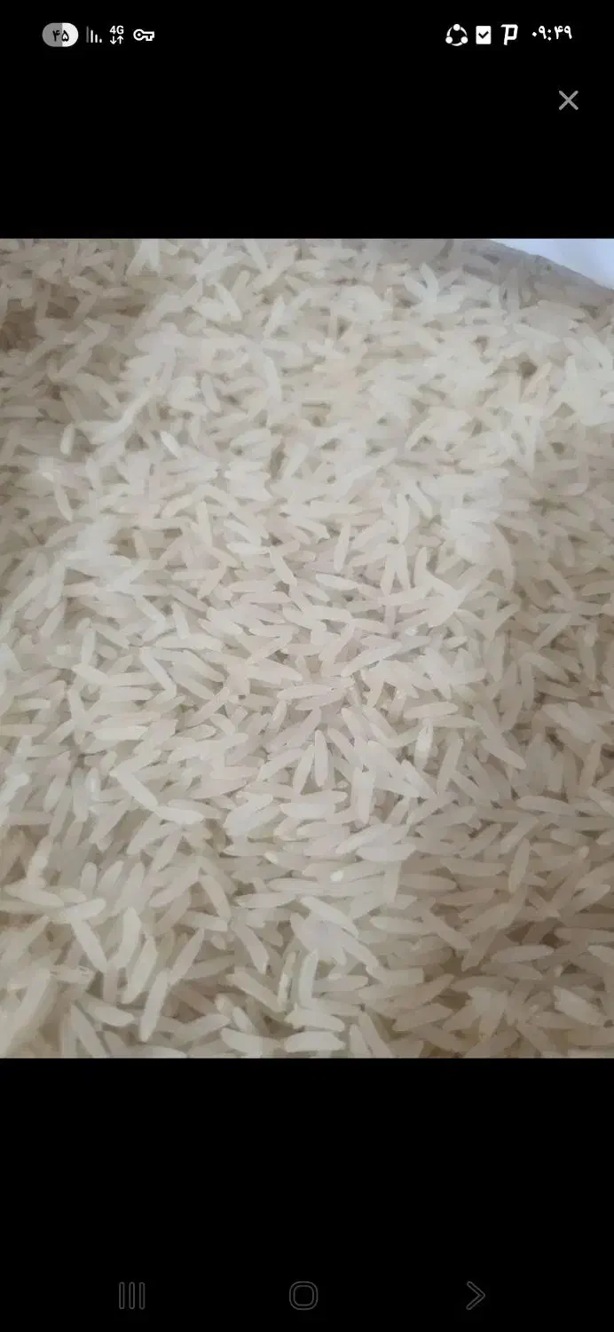 برنج فجر سوزنی|خوردنی و آشامیدنی|تاتار علیا, |دیوار